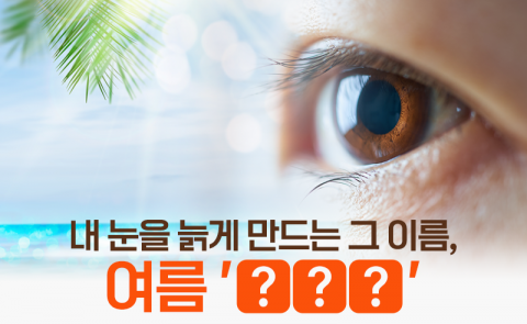 내 눈을 늙게 만드는 그 이름, 여름 '○○○'