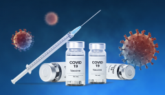 셀리드 개발 '오미크론 백신' 임상1·2상 시험 계획 승인