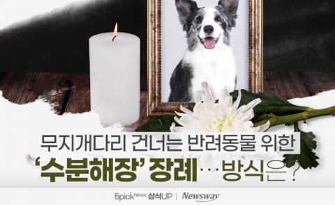 무지개다리 건너는 반려동물 위한 '수분해장' 장례···방식은?