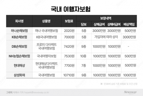 수요 높아진 여행자보험···&quot;보험료, 보장 규모 꼼꼼히 따져봐야&quot;