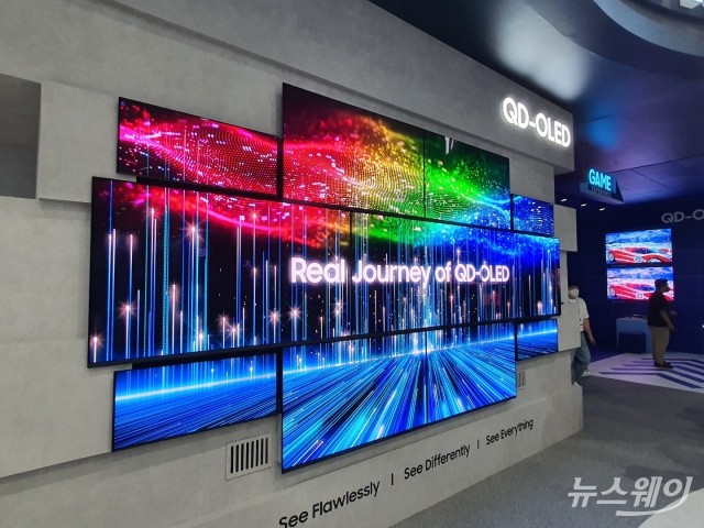 삼성·LG, 차세대 OLED 경쟁 불붙었다···정호영 "메가트렌드 성장에 파급력 커질 것"(종합)