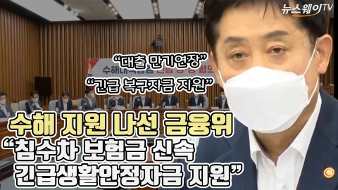 수해 지원 나선 금융위 &quot;침수차 보험금 신속···긴급생활안정자금 지원&quot;