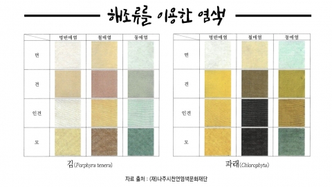 나주천연염색재단, 전남 해조류 염료자원 개발 눈길