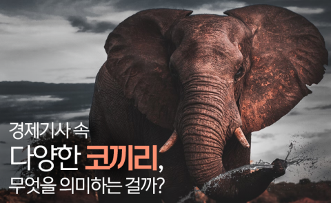 경제기사 속 다양한 코끼리, 무엇을 의미하는 걸까?
