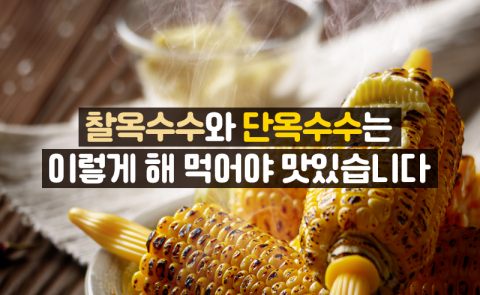 찰옥수수와 단옥수수는 이렇게 해 먹어야 맛있습니다