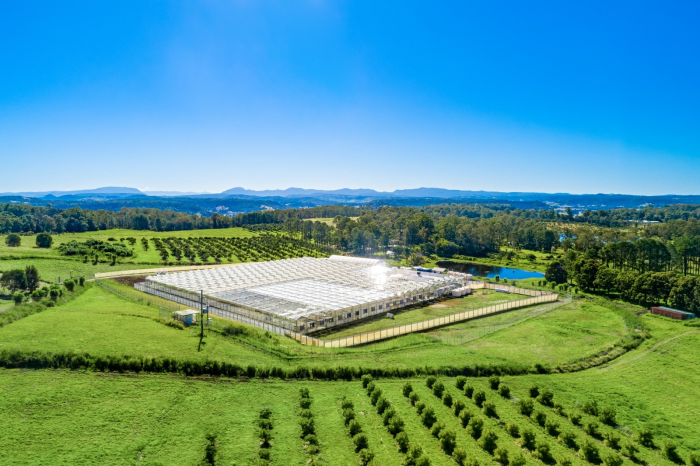 호주 '그린파머스'의 신규 의료용 대마 재배 시설