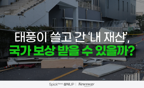 태풍이 쓸고 간 '내 재산', 국가 보상 받을 수 있을까?
