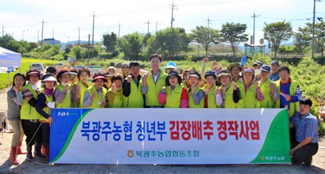 북광주농협, '사랑의 김장김치 나눔'을 위한 배추 모종 식재