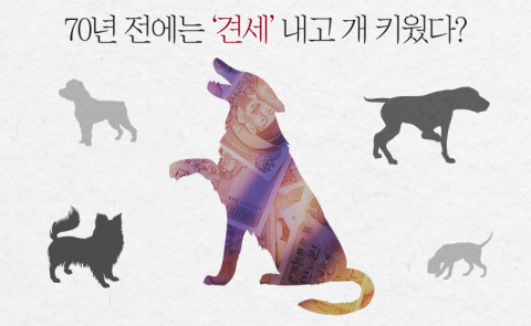 70년 전에는 '견세' 내고 개 키웠다?