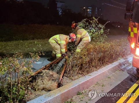 태풍 난마돌, 오전 10시께 부산 최근접···경상해안 중심 강풍