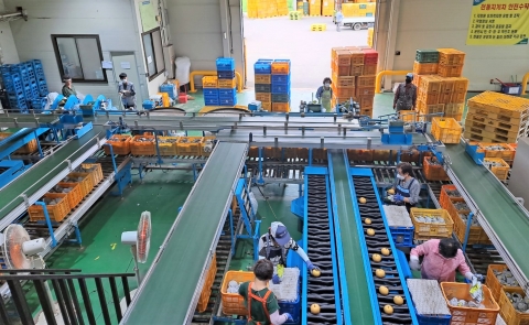 전남도, 농산물산지유통센터 지원금 74억 확보