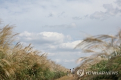 [오늘 날씨]전국 큰 일교차···출근길 '쌀쌀'