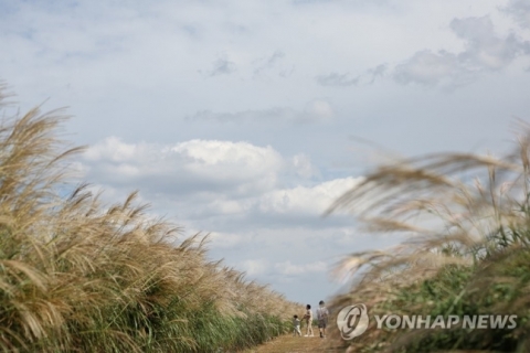 전국 흐리고 기온 '뚝'···낮부터 차차 맑아져
