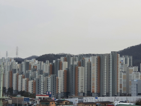  부동산 불황의 역설···부실채권 '줍줍' 나서는 '현금부자들'