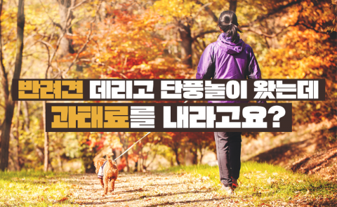 반려견 데리고 단풍놀이 왔는데 과태료를 내라고요?