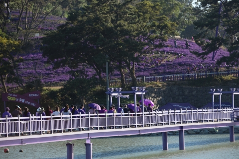 신안군, 퍼플섬 개장 이래 1일 방문객 최다