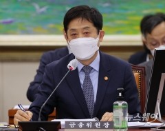 "론스타 사태부터 공매도까지"···김주현, 국회 송곳질의에 '진땀'(종합)