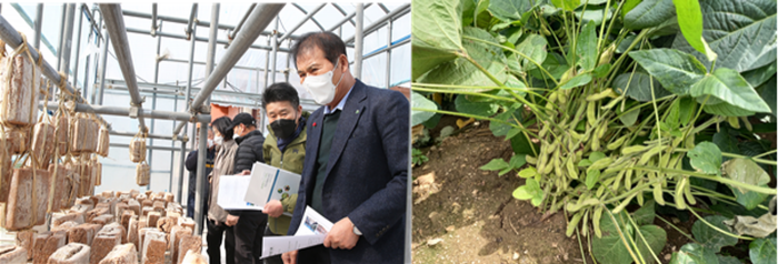 (좌)이상익 군수(사진 오른쪽에서 첫 번째)와 센터 관계자가 콩 가공 사업장을 둘러보는 모습 (우)지역 농가에서 재배된 콩