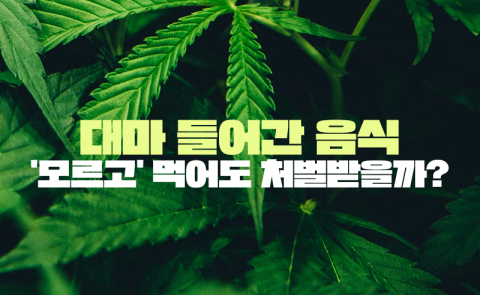 대마 들어간 음식 '모르고' 먹어도 처벌받을까?