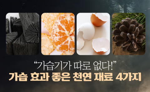 &quot;가습기가 따로 없다!&quot; 가습 효과 좋은 천연 재료 4가지