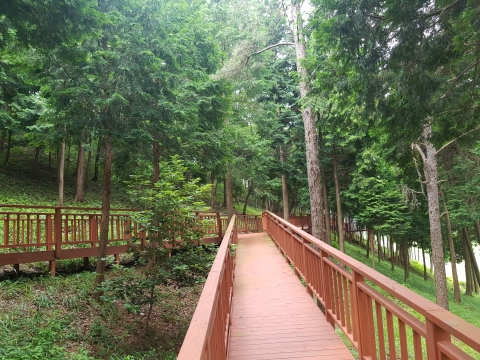 전남도, 무장애나눔길 등 녹색자금 36억 확보