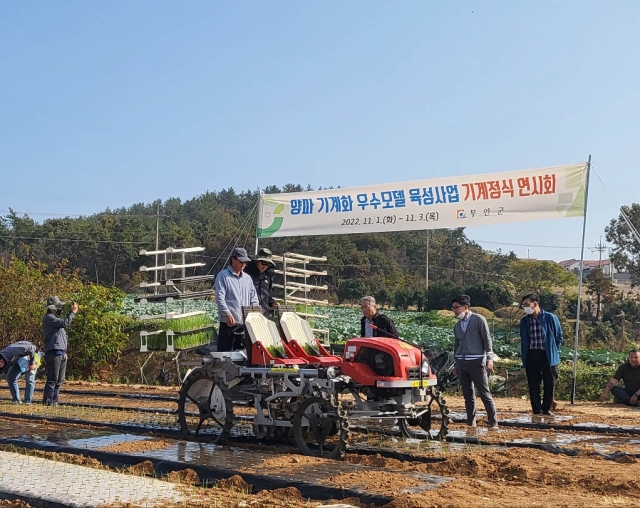 무안군, 양파 기계정식도 쉽게 '척척'