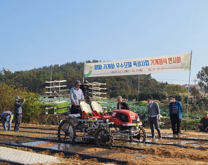 무안군이 양파 승용정식기로 기계정식 연시회를 개최하고 있다.