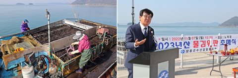 장흥군, '착한김 무산김' 2023년산 첫 위판 경매 개시