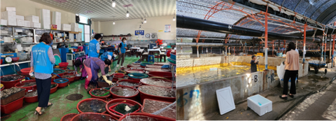 완도군, 안전한 수산물 공급 '안전성·원산지 조사' 강화