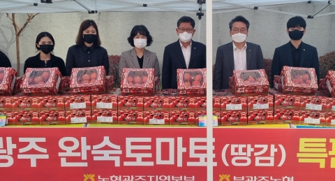 농협광주본부 금요장터 '북광주 땅감 특판행사' 큰 인기
