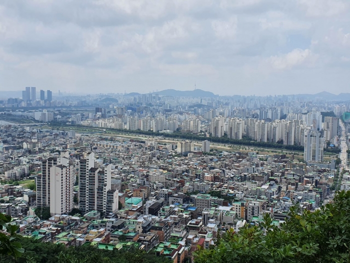 서울의 단독·다가구주택 밀집지역. 사진=장귀용 기자