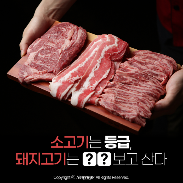 소고기는 '등급', 돼지고기는 '○○' 보고 산다 기사의 사진