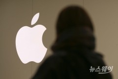 금융위, 애플페이 국내 사용 허가···이르면 내달 초 서비스 개시