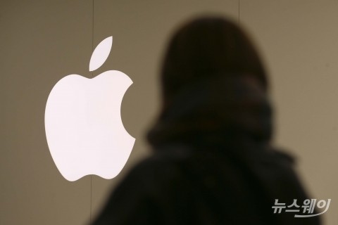 금융위, 애플페이 국내 사용 허가···이르면 내달 초 서비스 개시