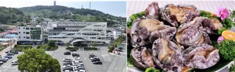완도군, 고향사랑기부제 답례품 39개 품목 선정