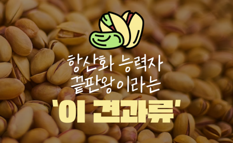 항산화 능력자 끝판왕이라는 '이 견과류'