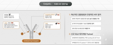 레고켐바이오, 美FDA서 고형암치료 후보물질 임상1·2상 계획 승인