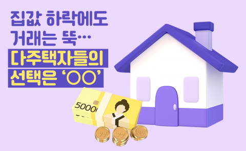 집값 하락에도 거래는 뚝···다주택자들의 선택은 '○○'