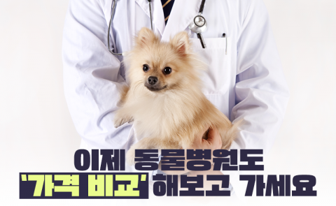 이제 동물병원도 '가격 비교'해보고 가세요