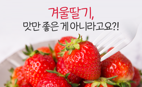겨울딸기, 맛만 좋은 게 아니라고요?!