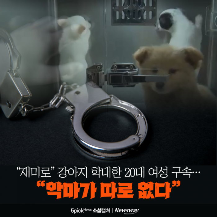 "재미로" 강아지 학대한 20대 여성 구속···"악마가 따로 없다" 기사의 사진