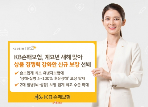 KB손해보험, 상품 경쟁력 강화···유병자도 후유장해 보장