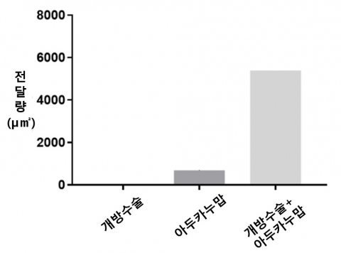 뇌보호 장벽 열어 약물 전달 '쑥'···'치매약' 부작용 이슈 없어질까