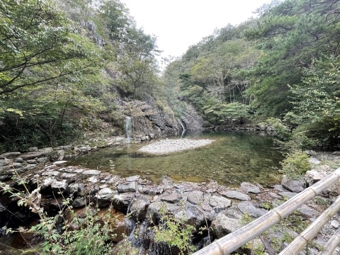 전남도, 전남에 국가산림문화자산 17개소 지정