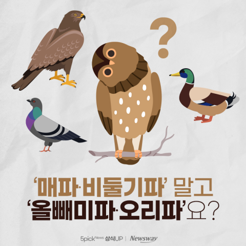 '매파·비둘기파' 말고 '올빼미파·오리파'요?