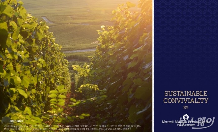페르노리카 그룹이 마르텔-멈-페리에 주에(MMPJ)의 지속가능성 및 책임경영 성를 담은 '2021-22 CSR 보고서'를 발간했다. 사진=페르노리카 그룹