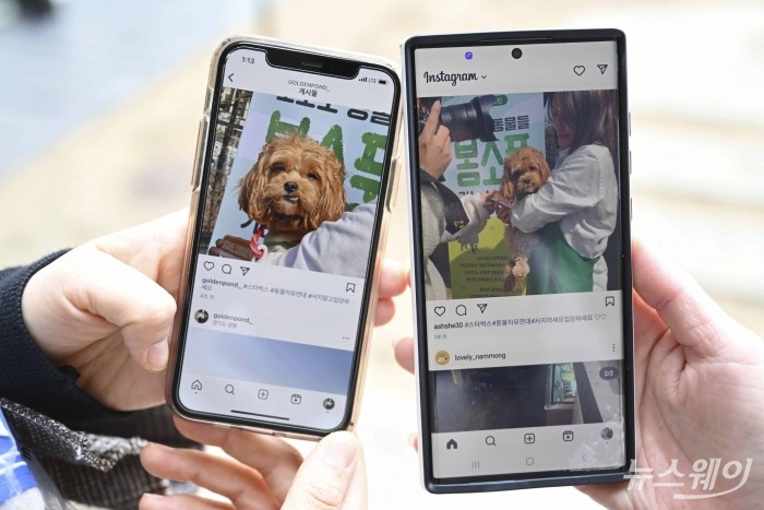 유기견 입양 상담자들이 3일 오후 경기 남양주시 스타벅스 더북한강R점에서 진행된 보호소 동물들 봄소풍 가는 날 행사에서 입양문화 긍정적인 인식 캠페인 참여 후 사회관계망서비스에 소식을 알리고 있다. 사진=강민석 기자 kms@newsway.co.kr