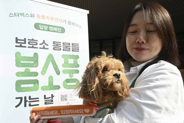 스타벅스 파트너 봉사자가 3일 오후 경기 남양주시 스타벅스 더북한강R점에서 진행된 보호소 동물들 봄소풍 가는 날 행사에서 유기견과 피부교감을 하고 있다. 사진=강민석 기자 kms@newsway.co.kr