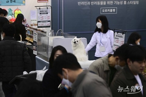 정부 나서자 바빠진 보험사...펫보험 리뉴얼에 특화社 설립까지