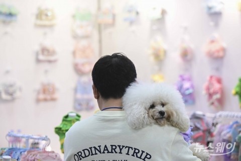 멍멍! 집사와 함께 '서울펫쇼'에 쇼핑 하러 가요